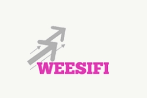 Weesifi cabinet de conseil en performance marketing et commercial