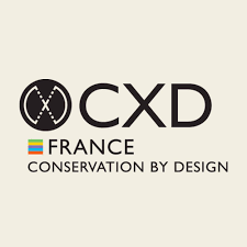 CXD logo DCF